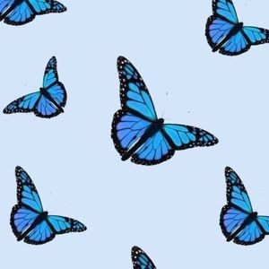 Meet your Posher, Silvia